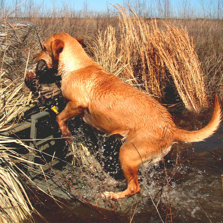 Load-A-Pup™ Hunting Dog Loading Platform - 14” X 20” platform -200 lb wt cap